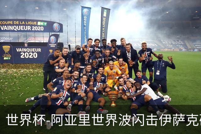 世界杯-阿亚里世界波闪击伊萨克破门 半场瑞典2-1突尼斯